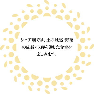 食育は調理師によるプログラムに沿って指導を行います。